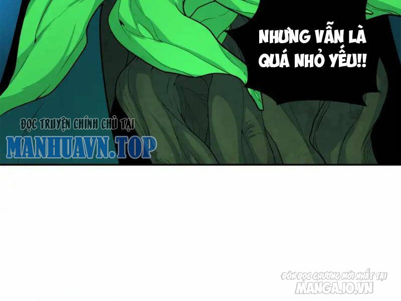 Toàn Cầu Quỷ Dị Thời Đại Chapter 219 - Trang 2