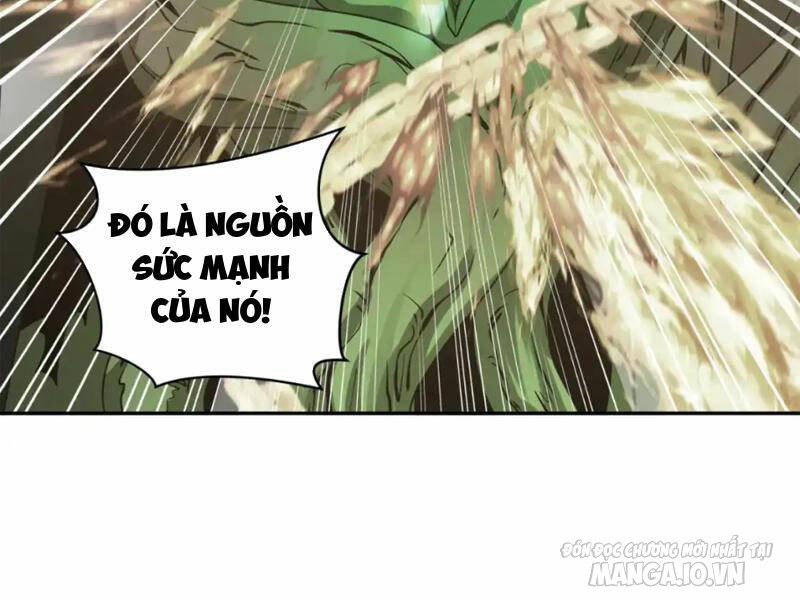 Toàn Cầu Quỷ Dị Thời Đại Chapter 219 - Trang 2