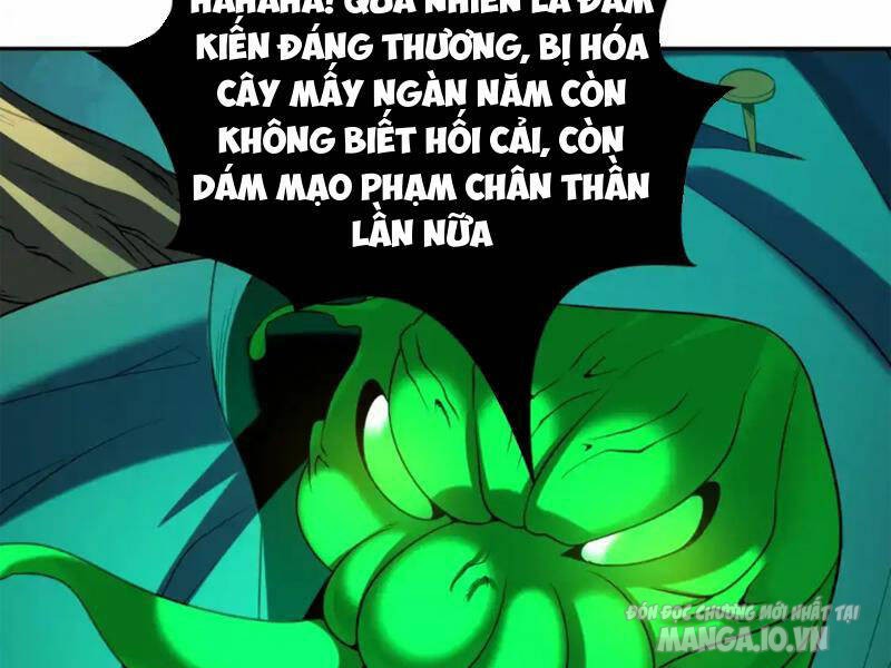 Toàn Cầu Quỷ Dị Thời Đại Chapter 219 - Trang 2