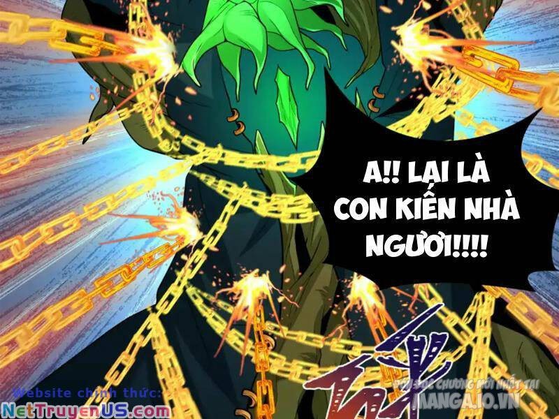 Toàn Cầu Quỷ Dị Thời Đại Chapter 220 - Trang 2