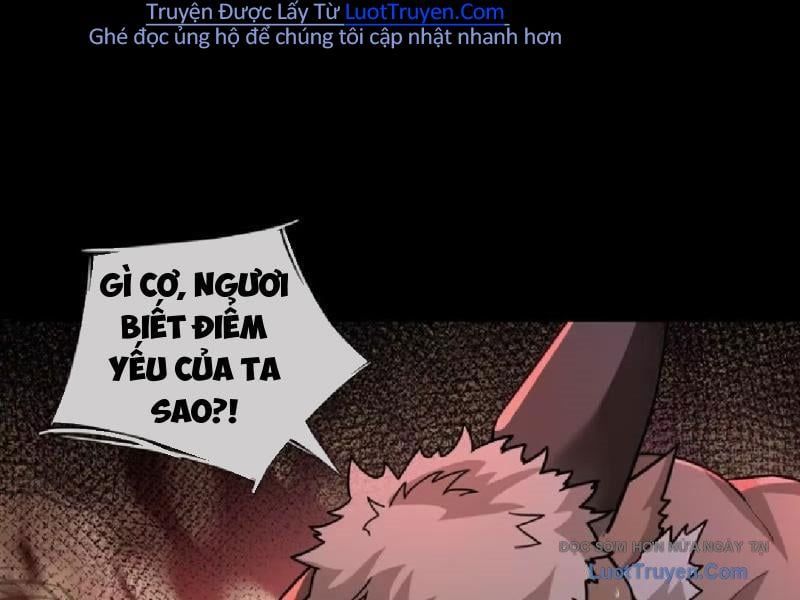 Toàn Cầu Sợ Hãi: Tôi Mở Hack Tự Chọn Cửa Hàng Chapter 28 - Trang 2