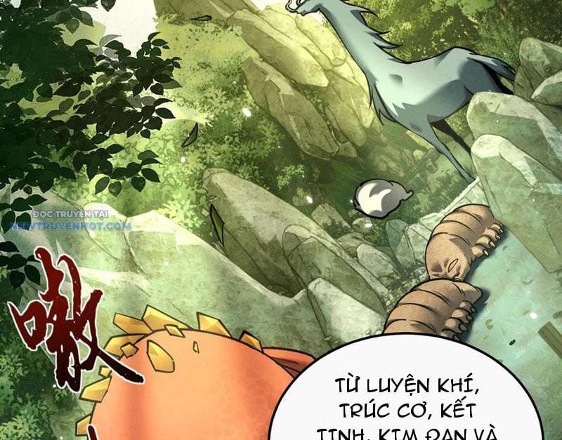 Toàn Chức Kiếm Tu Chapter 16 - Trang 2