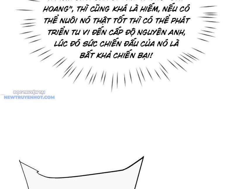 Toàn Chức Kiếm Tu Chapter 16 - Trang 2