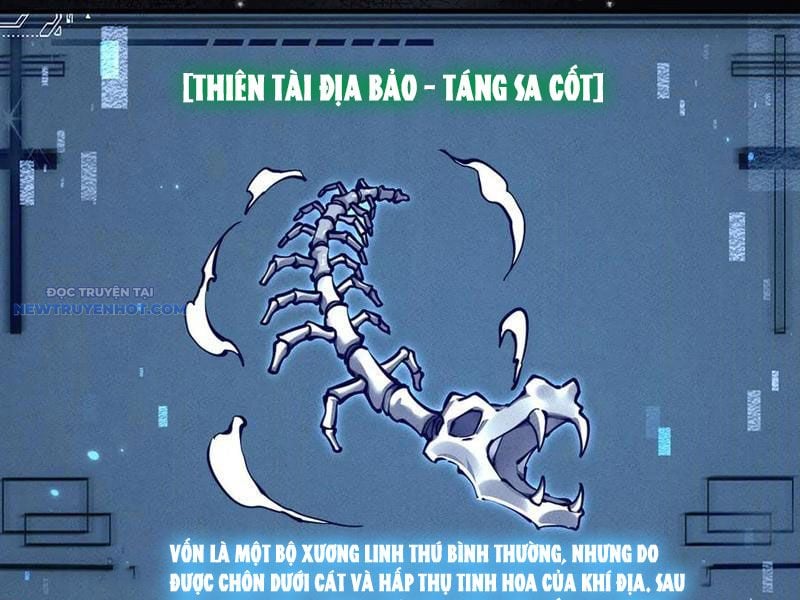 Toàn Chức Kiếm Tu Chapter 20 - Trang 2