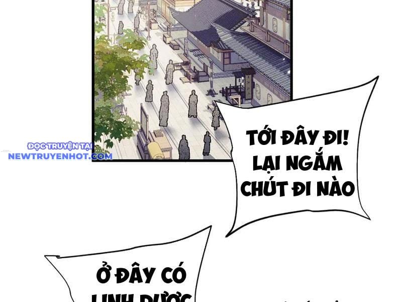 Toàn Chức Kiếm Tu Chapter 29 - Trang 2