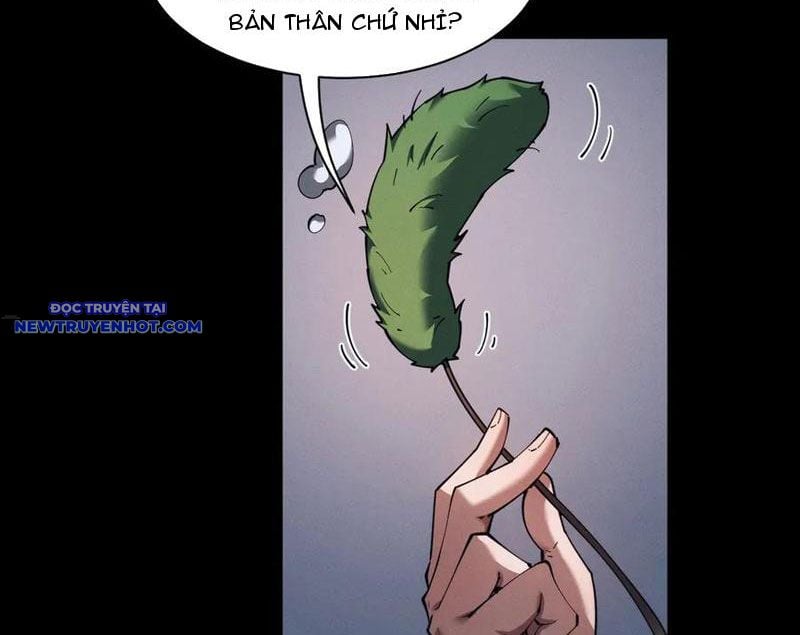 Toàn Chức Kiếm Tu Chapter 33 - Trang 2