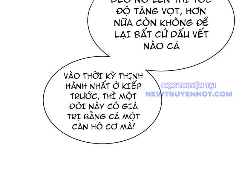 Toàn Chức Kiếm Tu Chapter 34 - Trang 2