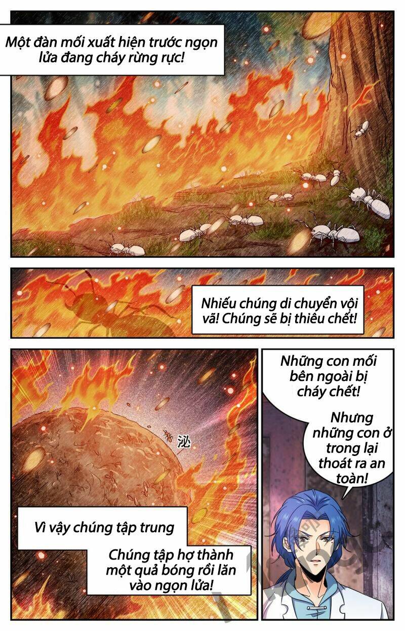 Toàn Chức Pháp Sư Chapter 411 - Trang 2