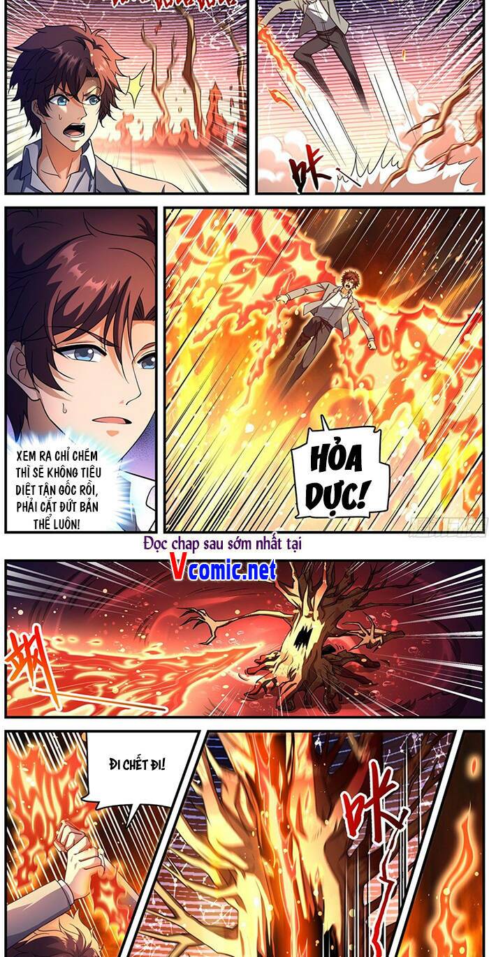 Toàn Chức Pháp Sư Chapter 703 - Trang 2