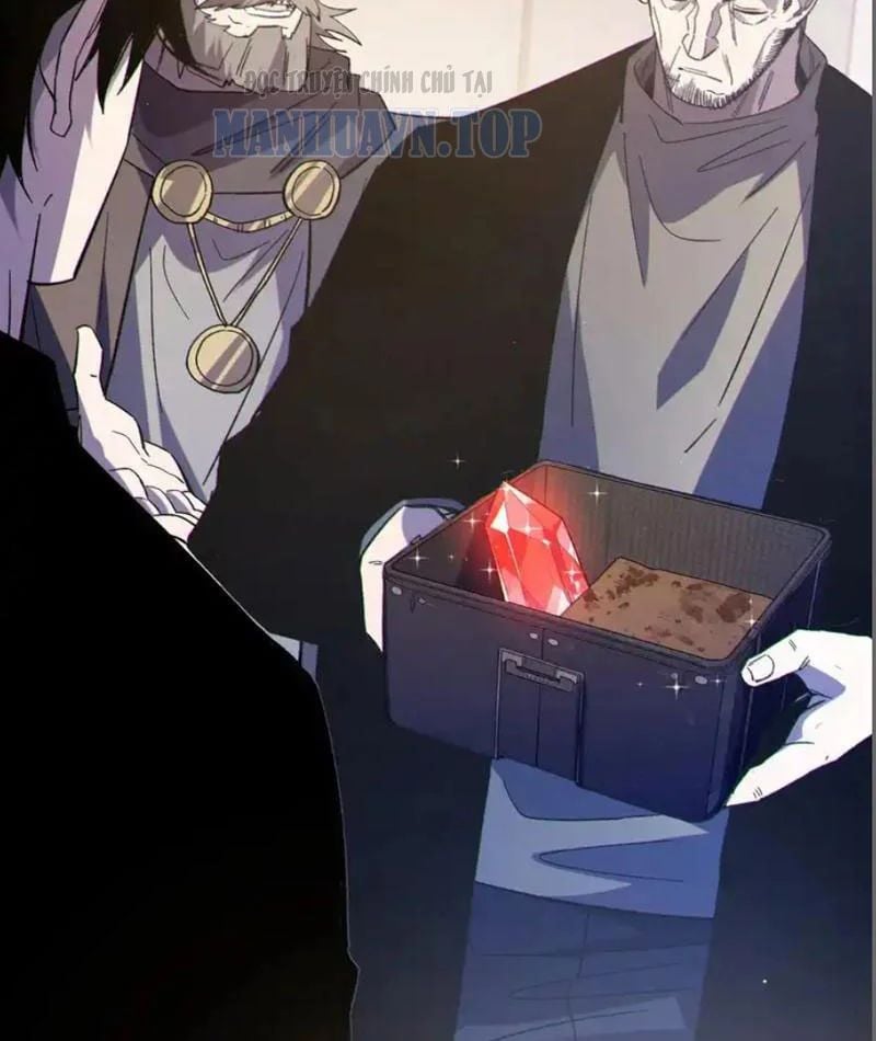 Toàn Dân Chuyển Chức: Bị Động Của Ta Vô Địch Chapter 137 - Trang 2