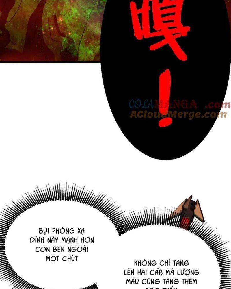 Toàn Dân Chuyển Chức: Bị Động Của Ta Vô Địch Chapter 25 - Trang 2