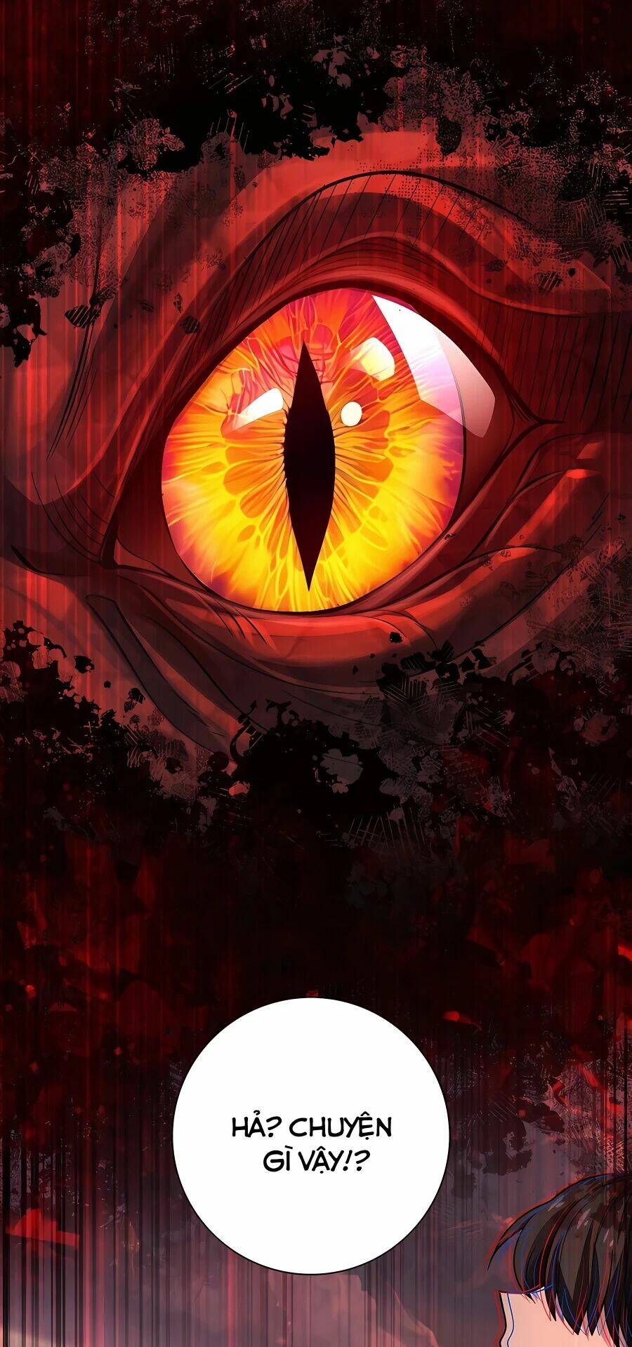 Toàn Dân Chuyển Chức: Ngự Long Sư Là Chức Nghiệp Yếu Nhất? Chapter 1 - Trang 2