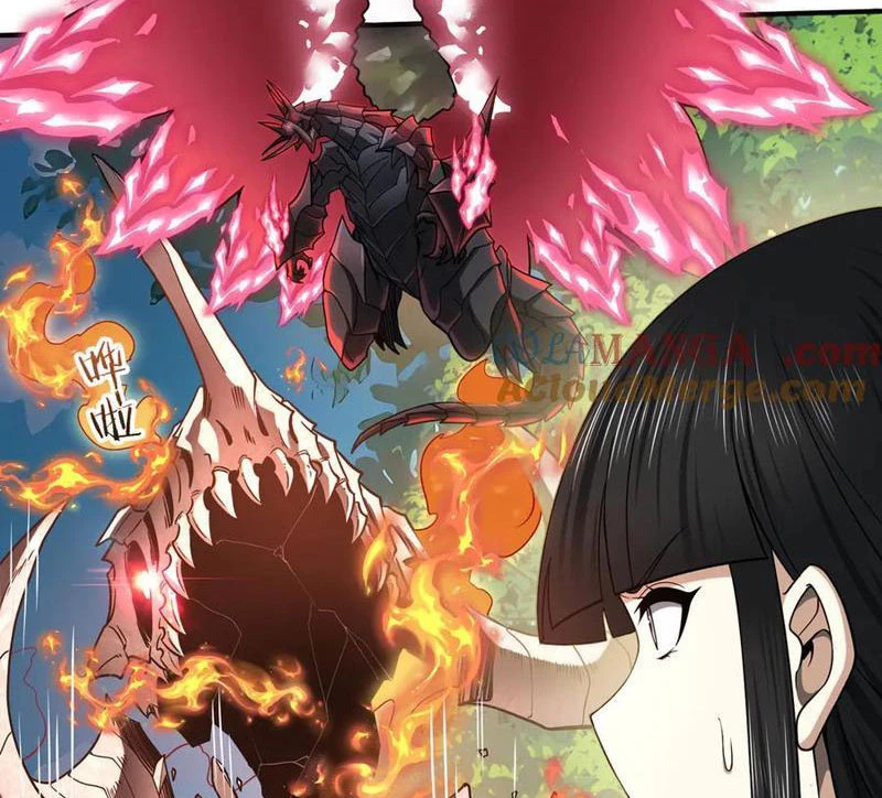 Toàn Dân Chuyển Chức: Ngự Long Sư Là Chức Nghiệp Yếu Nhất? Chapter 33 - Trang 2