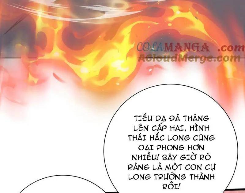 Toàn Dân Chuyển Chức: Ngự Long Sư Là Chức Nghiệp Yếu Nhất? Chapter 57 - Trang 2
