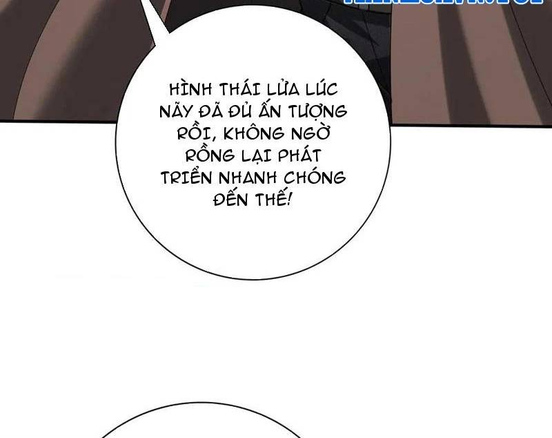 Toàn Dân Chuyển Chức: Ngự Long Sư Là Chức Nghiệp Yếu Nhất? Chapter 57 - Trang 2