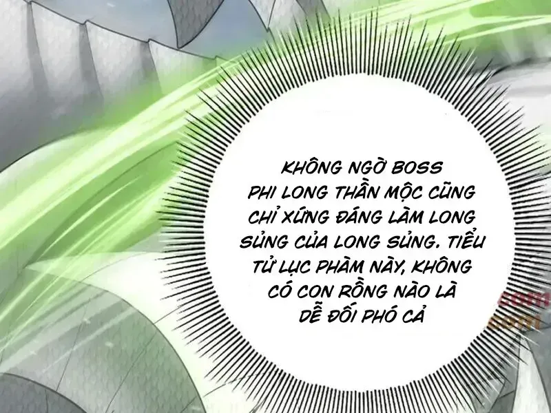 Toàn Dân Chuyển Chức: Ngự Long Sư Là Chức Nghiệp Yếu Nhất? Chapter 62.7 - Trang 2