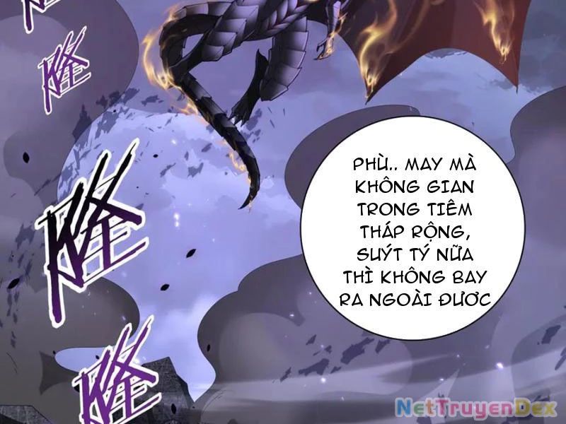 Toàn Dân Chuyển Chức: Ngự Long Sư Là Chức Nghiệp Yếu Nhất? Chapter 79 - Trang 2