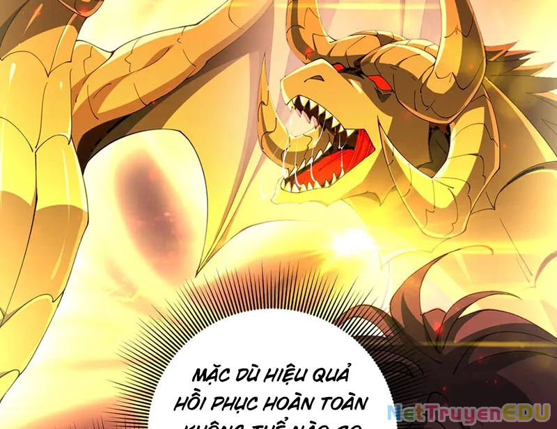 Toàn Dân Chuyển Chức: Ngự Long Sư Là Chức Nghiệp Yếu Nhất? Chapter 97 - Trang 2