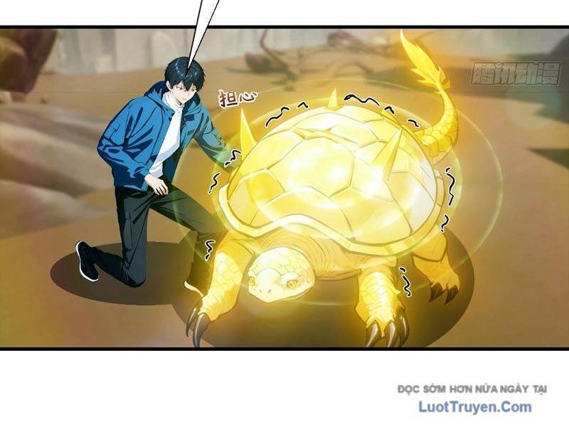 ToàN Dân Ngự Thú: BắT ĐầU Từ Sơn HảI Kinh, CàN QuéT ToàN CầU Chapter 75 - Trang 2