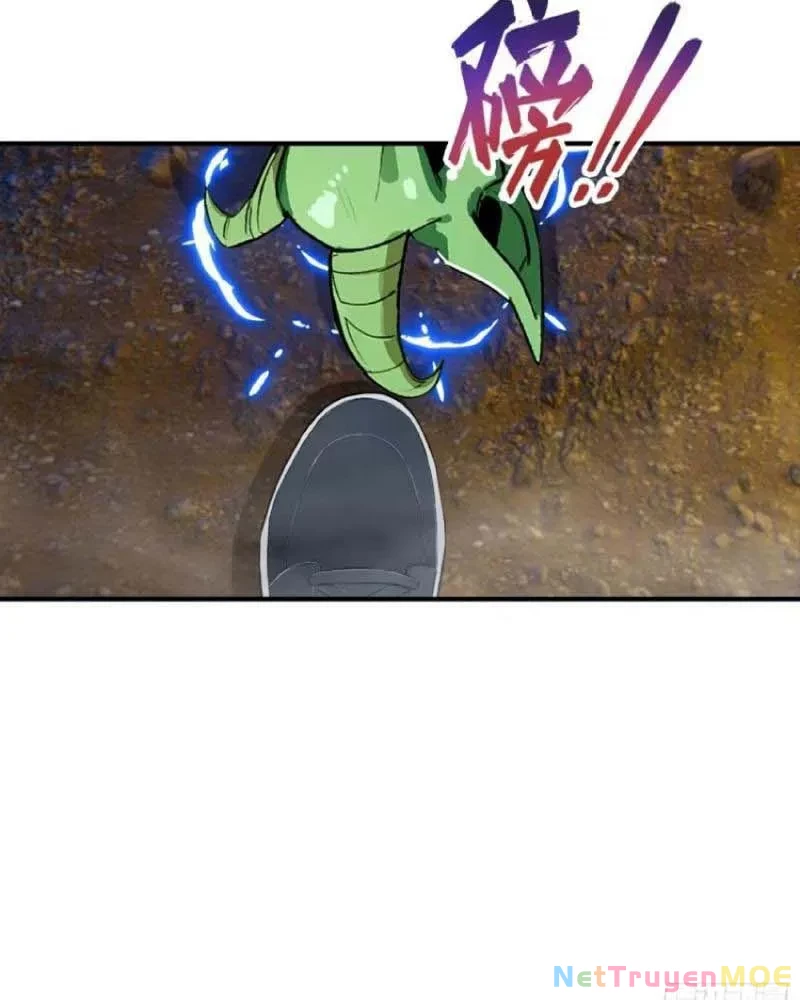 Toàn Dân Ngự Thú: Bắt Đầu Từ Sơn Hải Kinh Ta Quét Ngang Toàn Cầu Chapter 12 - Trang 2