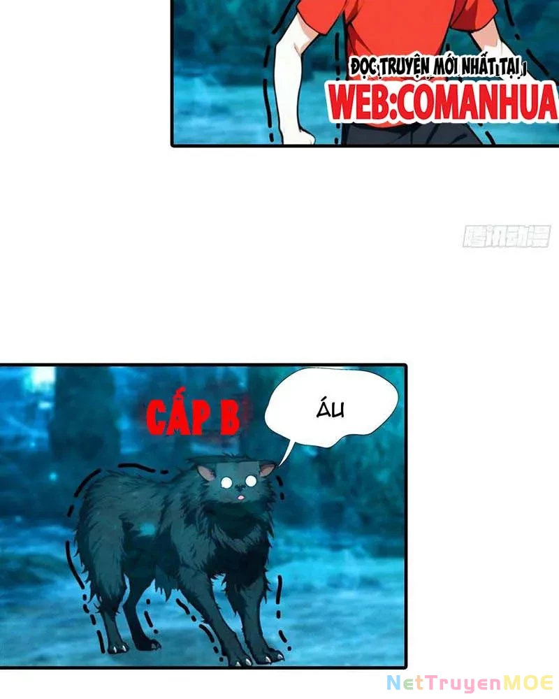 Toàn Dân Ngự Thú: Bắt Đầu Từ Sơn Hải Kinh Ta Quét Ngang Toàn Cầu Chapter 15 - Trang 2