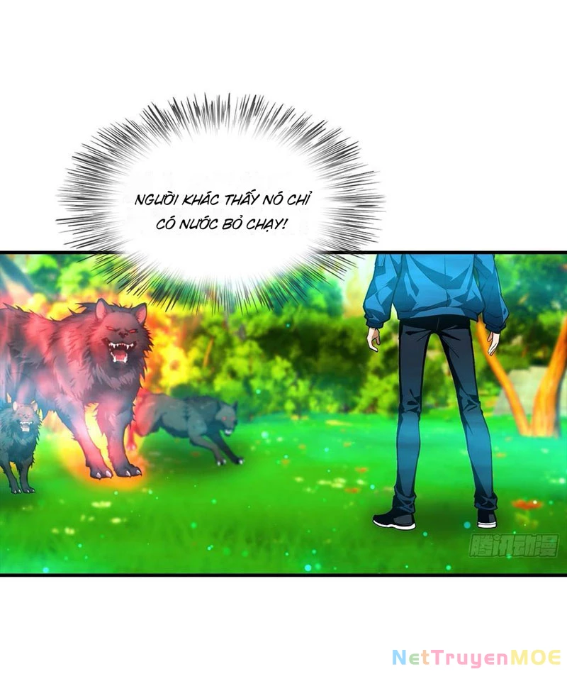 Toàn Dân Ngự Thú: Bắt Đầu Từ Sơn Hải Kinh Ta Quét Ngang Toàn Cầu Chapter 4 - Trang 2