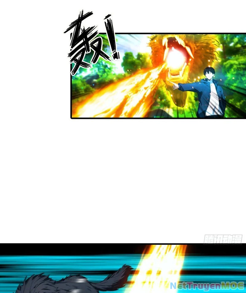 Toàn Dân Ngự Thú: Bắt Đầu Từ Sơn Hải Kinh Ta Quét Ngang Toàn Cầu Chapter 4 - Trang 2