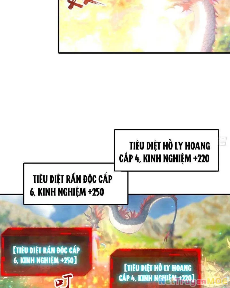 Toàn Dân Ngự Thú: Bắt Đầu Từ Sơn Hải Kinh Ta Quét Ngang Toàn Cầu Chapter 6 - Trang 2