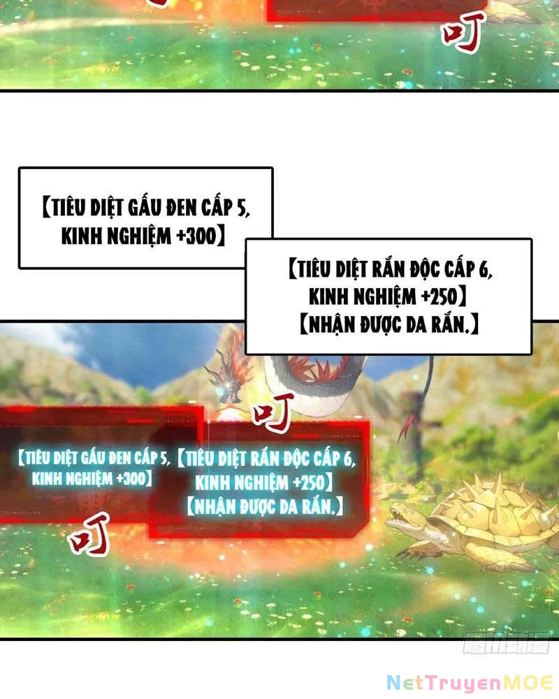 Toàn Dân Ngự Thú: Bắt Đầu Từ Sơn Hải Kinh Ta Quét Ngang Toàn Cầu Chapter 6 - Trang 2