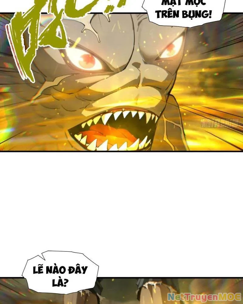 Toàn Dân Ngự Thú: Bắt Đầu Từ Sơn Hải Kinh Ta Quét Ngang Toàn Cầu Chapter 7 - Trang 2