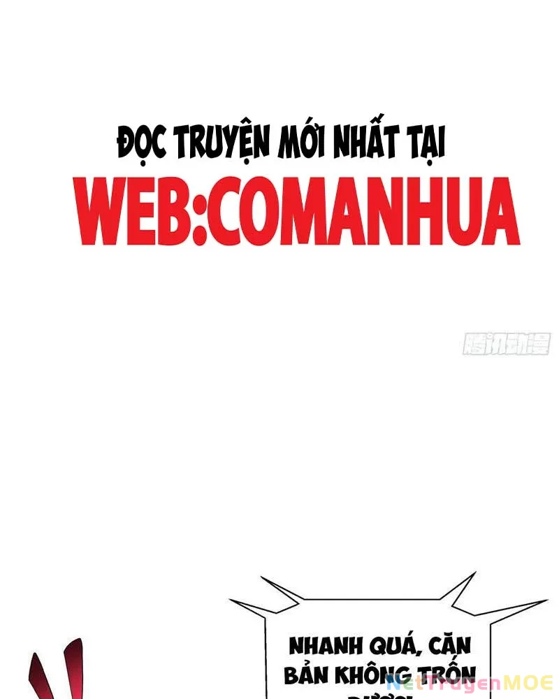 Toàn Dân Ngự Thú: Bắt Đầu Từ Sơn Hải Kinh Ta Quét Ngang Toàn Cầu Chapter 8 - Trang 2