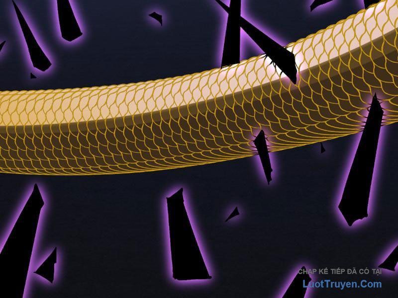 Toàn Dân Tận Thế: Ta, Virus Quân Vương Chapter 97 - Trang 2