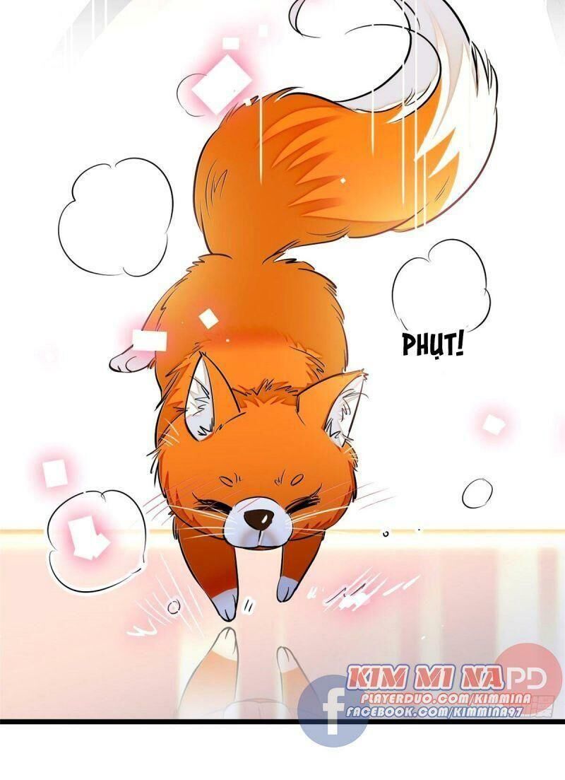 Toàn Mạng Đều Là Fan Cp Của Tôi Với Ảnh Đế Chapter 24 - Trang 2