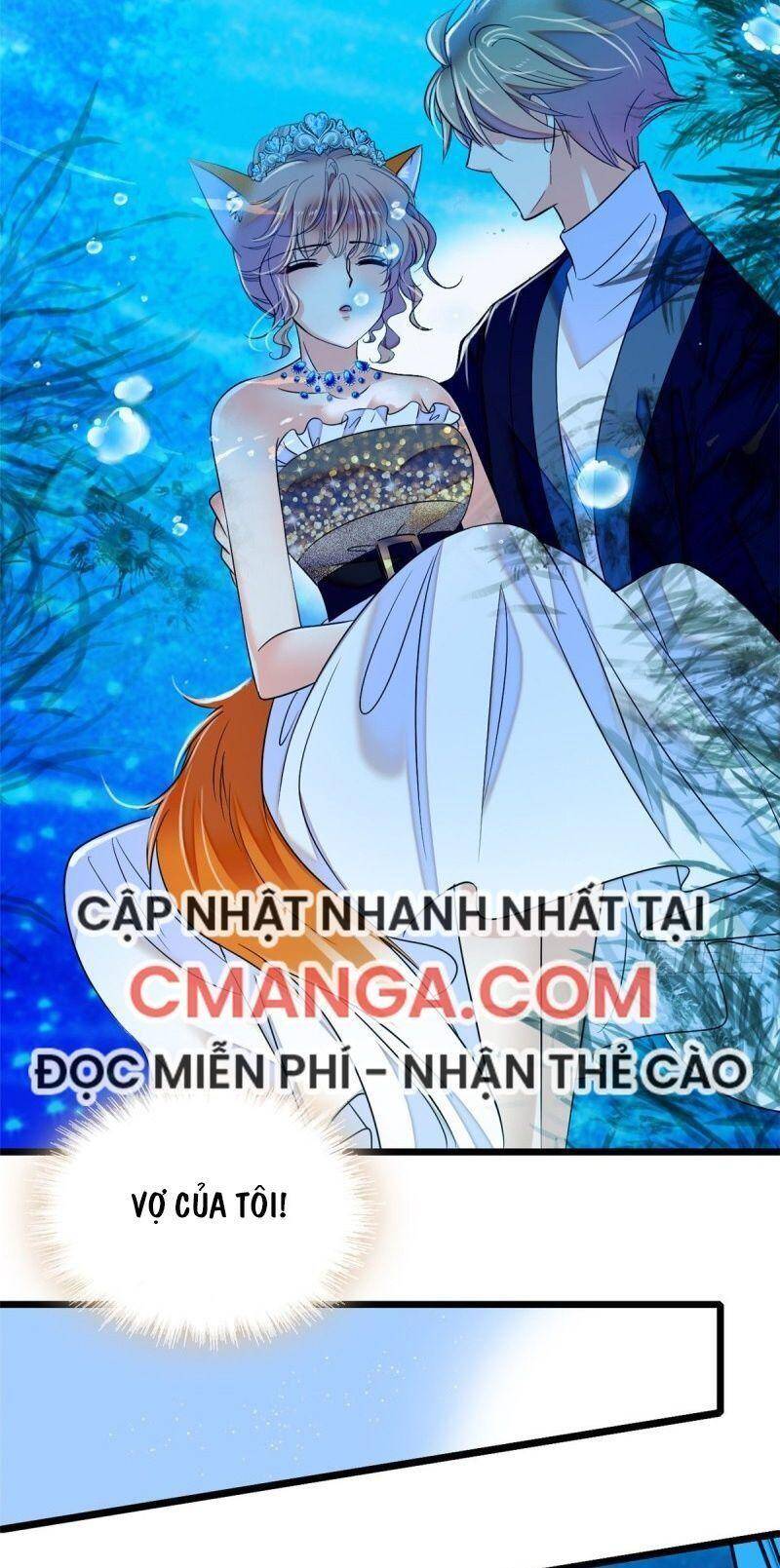 Toàn Mạng Đều Là Fan Cp Của Tôi Với Ảnh Đế Chapter 56 - Trang 2