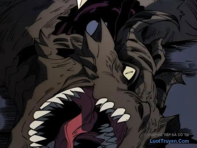 Toàn Năng Giác Tỉnh Sư Chapter 65 - Trang 2