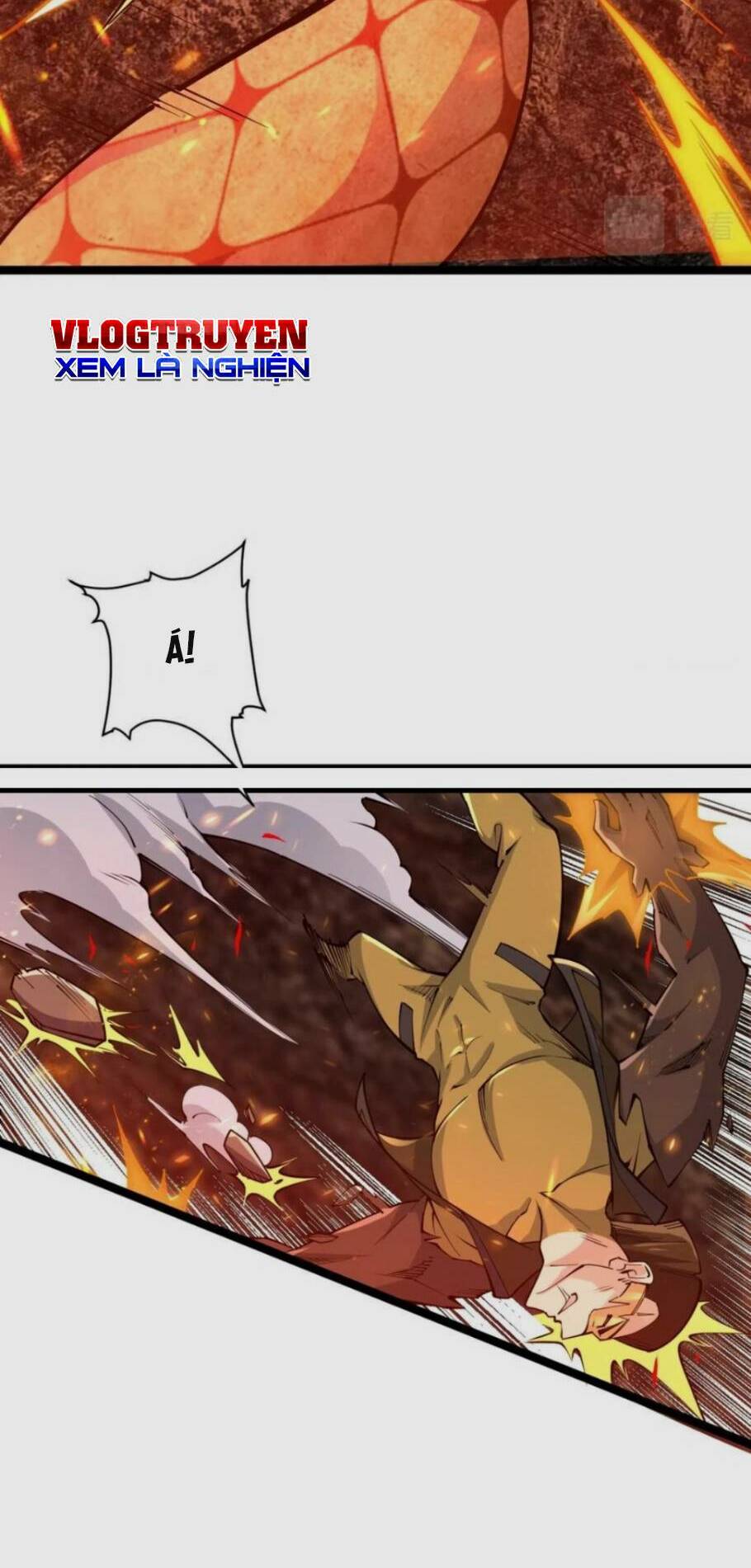 Toàn Thuộc Tính Võ Đạo Chapter 21 - Trang 2