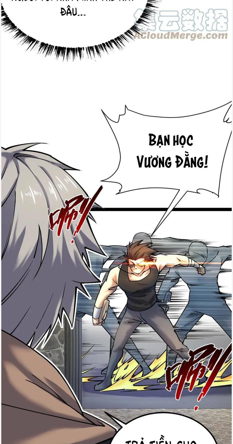 Toàn Thuộc Tính Võ Đạo Chapter 28 - Trang 2