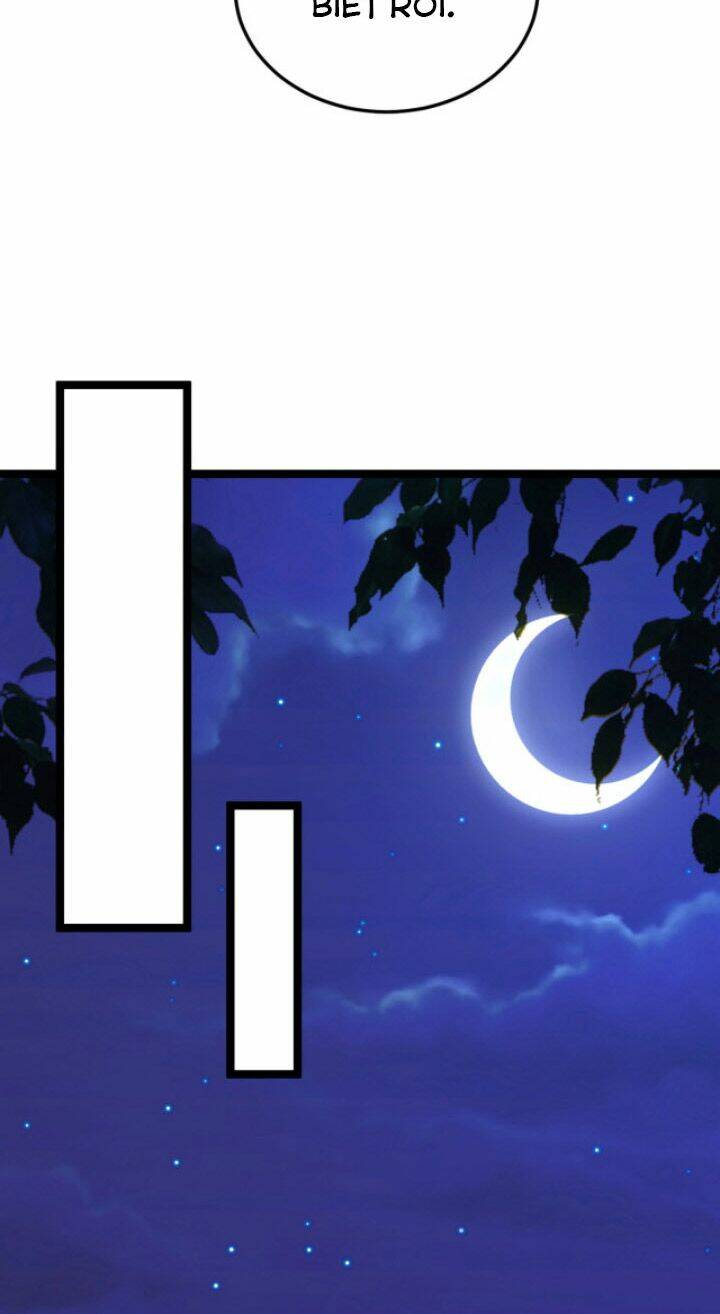 Toàn Thuộc Tính Võ Đạo Chapter 3 - Trang 2