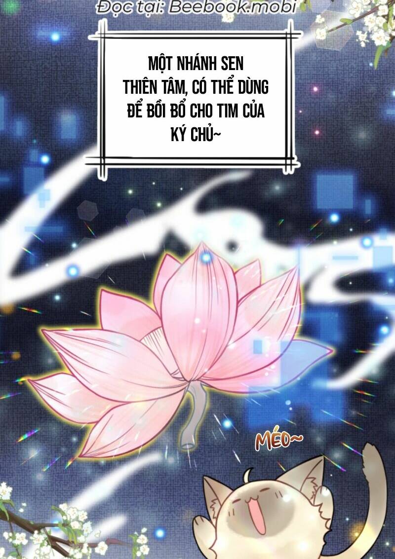 Toàn Tông Môn Đều Là Kẻ Si Tình, Chỉ Có Ta Là Tỉnh Táo Chapter 23 - Trang 2