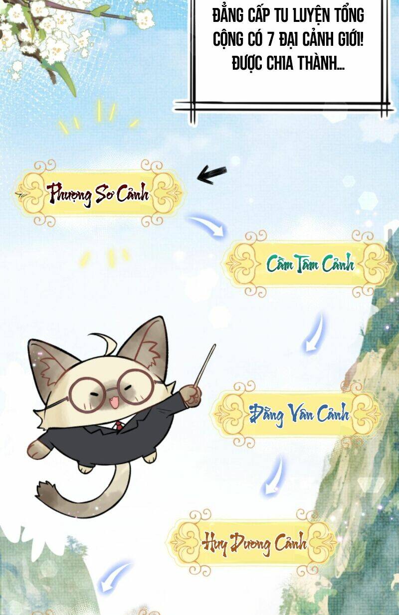 Toàn Tông Môn Đều Là Kẻ Si Tình, Chỉ Có Ta Là Tỉnh Táo Chapter 4 - Trang 2