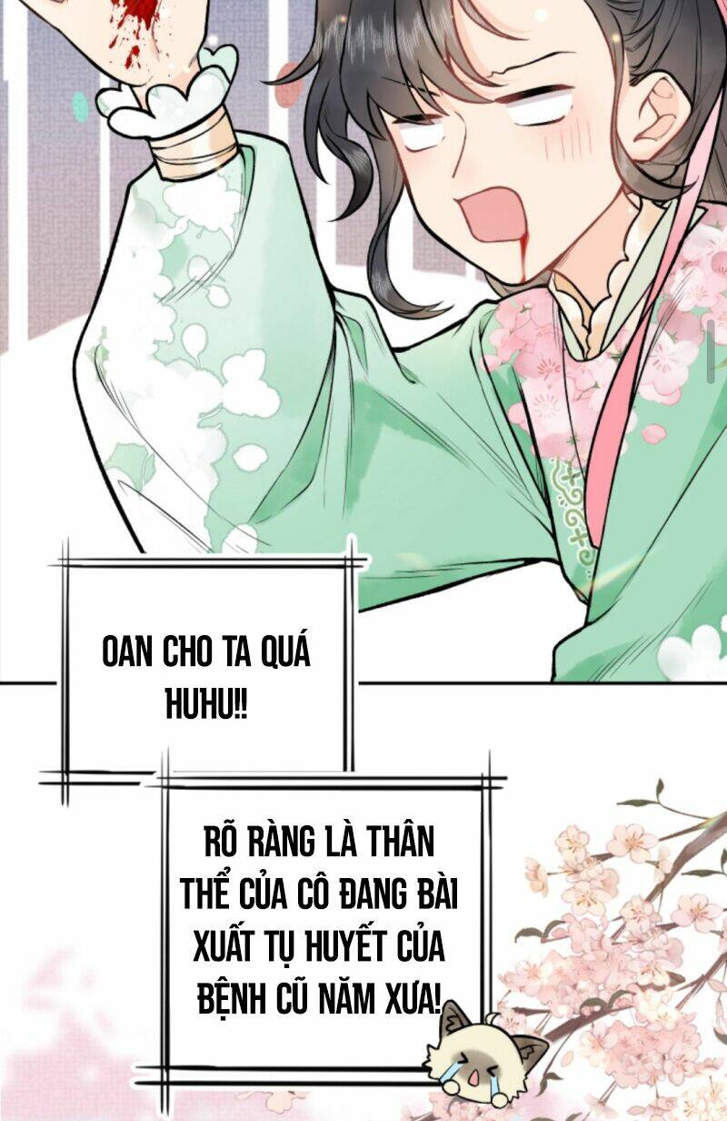 Toàn Tông Môn Đều Là Kẻ Si Tình, Chỉ Có Ta Là Tỉnh Táo Chapter 4 - Trang 2