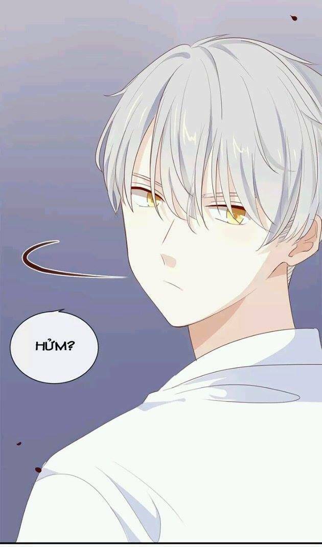 Tôi Bị Idol… Chuyện Không Thể Tả Chapter 19 - Trang 2