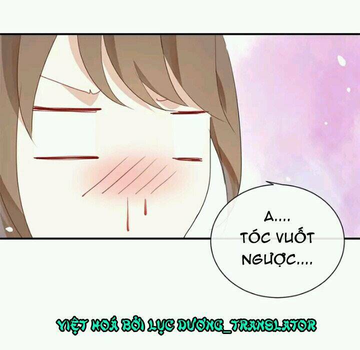 Tôi Bị Idol… Chuyện Không Thể Tả Chapter 20 - Trang 2