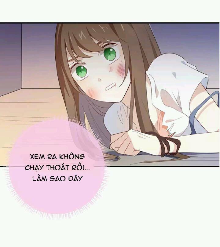 Tôi Bị Idol… Chuyện Không Thể Tả Chapter 42 - Trang 2