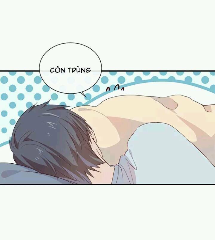 Tôi Bị Idol… Chuyện Không Thể Tả Chapter 52 - Trang 2