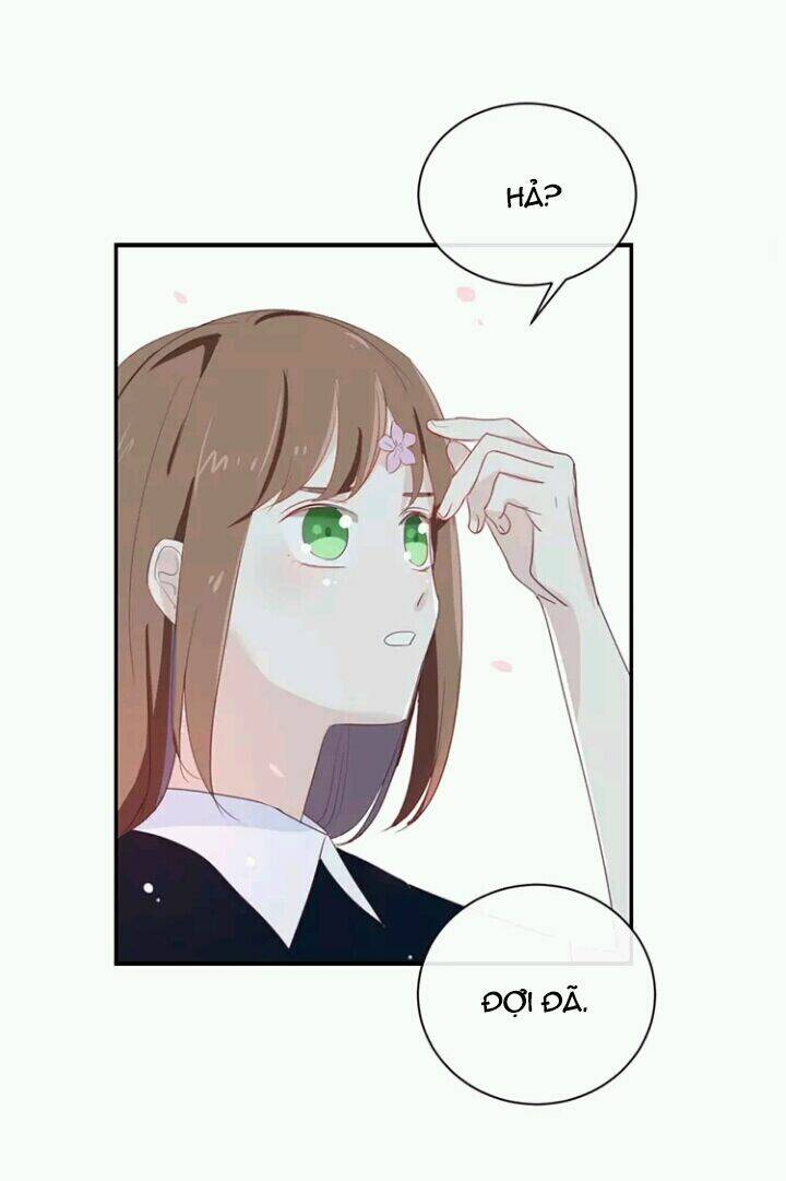 Tôi Bị Idol… Chuyện Không Thể Tả Chapter 71 - Trang 2