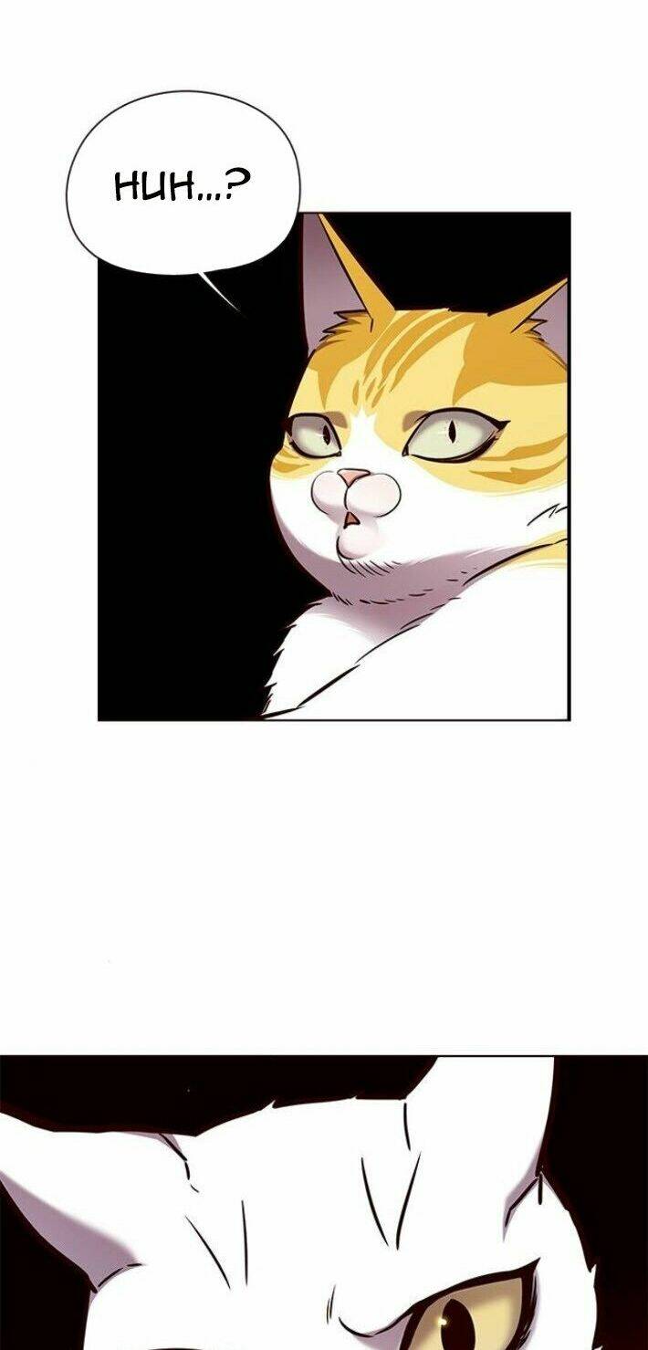 Tôi Chỉ Biết Làm Phim Dở Thôi Chapter 141 - Trang 2