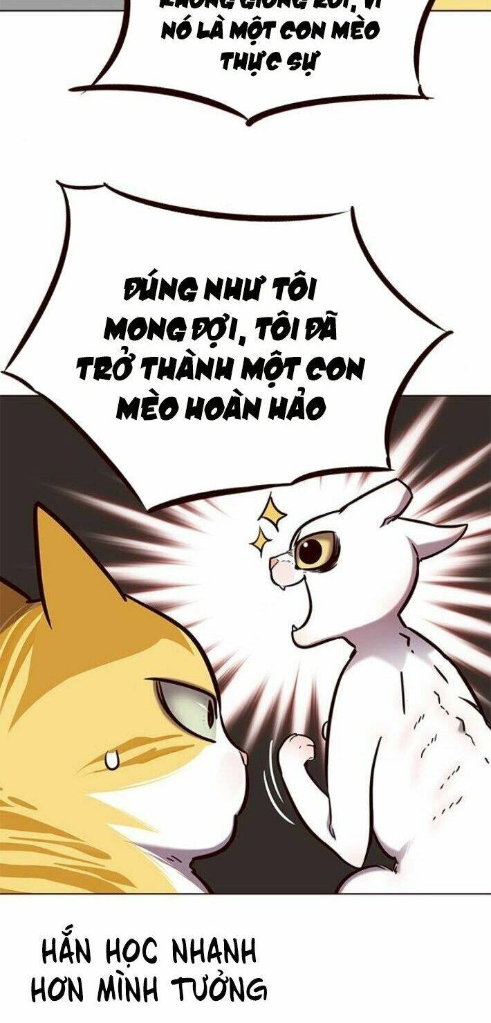 Tôi Chỉ Biết Làm Phim Dở Thôi Chapter 141 - Trang 2