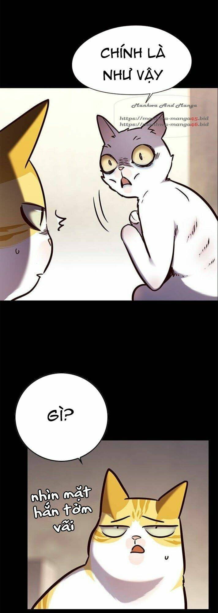 Tôi Chỉ Biết Làm Phim Dở Thôi Chapter 142 - Trang 2