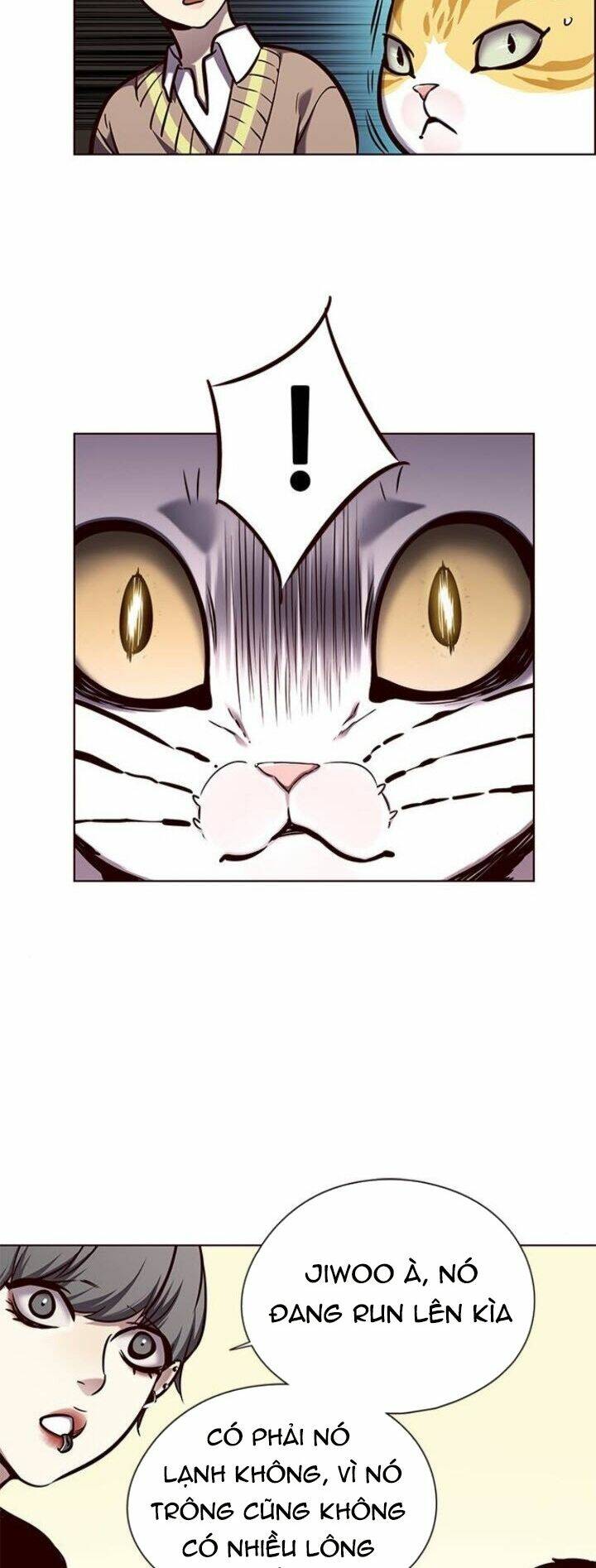 Tôi Chỉ Biết Làm Phim Dở Thôi Chapter 143 - Trang 2